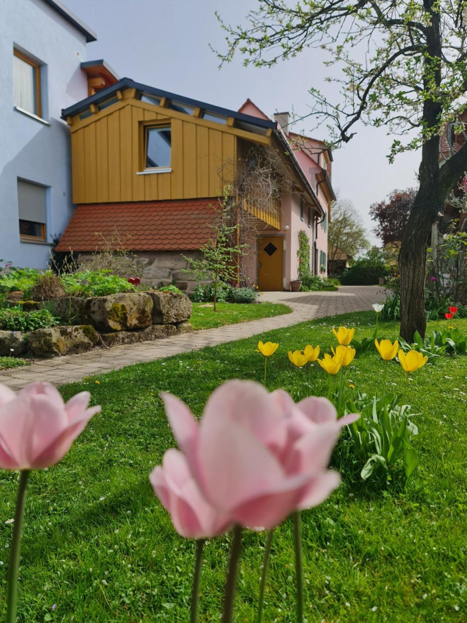 Neuhof an der Zenn Ferienwohnung Wiesenhof מראה חיצוני תמונה